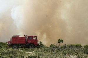 Φωτιά στη Σαλαμίνα: Την έβαλε ηλικιωμένος που ήθελε να κάψει ξερά χόρτα...- Σχηματίστηκε δικογραφία