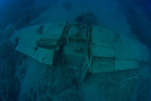 Ναυάγιο Αντικυθήρων - Σπουδαία νέα ευρήματα: Βρέθηκε μαρμάρινη κεφαλή αγάλματος - εικόνα 2