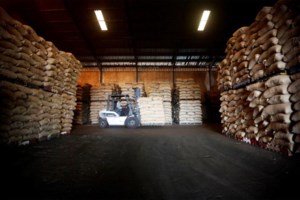 Οι Ισπανοί στους δρόμους μετά από 49 ημέρες lockdown - Βγήκαν για να αθληθούν [εικόνες] - εικόνα 4