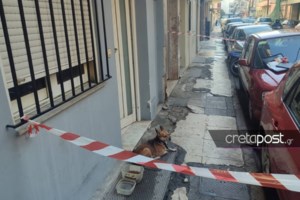 Συνεχίζει να συγκινεί ο "Χάτσικο" των Χανίων – Ο Σνούπι κλαίει περιμένοντας τον 53χρονο έξω από το σπίτι [εικόνες]