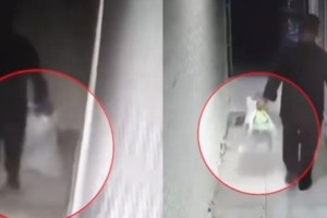 Βραυρώνα: Xτυπήματα πριν και μετά το θάνατό του δέχθηκε το νεκρό βρέφος που πέταξαν στα σκουπίδια - Τα σενάρια