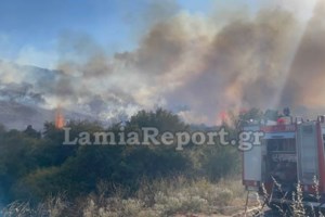 Φωτιά στη Φωκίδα: Καταγγέλλουν εμπρησμό οι κάτοικοι- "Είδαμε μηχανάκι να φεύγει και μετά ξεπήδησαν οι φλόγες" [Βίντεο] - εικόνα 2
