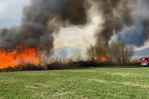 Καστοριά: Κατασβήστηκαν οι περισσότερες φωτιές σε χορτολιβαδικές εκτάσεις- Μικρές εστίες στην Ομορφοκκλησιά - εικόνα 2