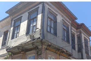 Απολίθωμα ρινόκερου από την Εποχή των Παγετώνων βρέθηκε στις Μυκήνες [εικόνα] - εικόνα 2