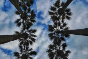 Μαρουσάκης: Έρχεται ισχυρή κακοκαιρία το Σαββατοκύριακο - Φόβοι για πλημμύρες - Ποιες περιοχές θα χτυπήσει