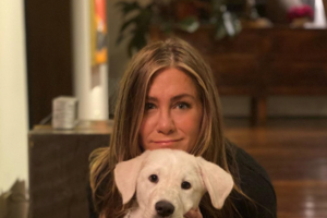 Έρχεται και το "Wonder Woman 3" μετά την επιτυχία του "Wonder Woman 1984" - εικόνα 2