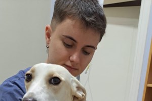 Με γλυκά του κουταλιού φτιαγμένα με τα χεράκια μας βοηθούμε την Ελληνική Φιλοζωική - Δείτε πως