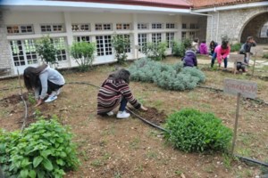 Κιβωτός... Bank: 12,5 εκατ. μετρητά και πάνω από 150 ακίνητα έχουν η ΜΚΟ, ο πατέρας Αντώνιος και η πρεσβυτέρα - εικόνα 2