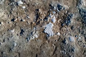 Η απόκοσμη "Μαύρη Τρύπα" της Μάνης και το μικρό δάσος στο εσωτερικό [βίντεο] - εικόνα 2