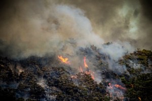 Φωτιές: Ολοκληρώθηκε η πρώτη φάση καταγραφής των ζημιών - 60 τα "κόκκινα" κτίρια - εικόνα 2