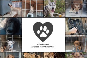 Η δύναμη του Πίνατ στο Μέγαρο Μαξίμου: Τα χάδια από τον υπ. Εσωτερικών των ΗΠΑ, Νταγκ Μπέργκαμ - εικόνα 3