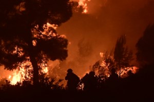 Μπαράζ συλλήψεων από την Πυροσβεστική για φωτιές σε Αττική και Αργολίδα - εικόνα 2