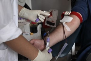 Ολλανδία: Η πριγκίπισσα του θρόνου Αικατερίνη Αμαλία έχει πλέον το δικαίωμα να παντρευτεί άτομο το ίδιου φύλου