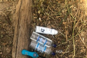 Δήμος Αθηναίων: Πρώην υπάλληλος υπεξαίρεσε 75.000 από το ταμείο Σχολικής Επιτροπής και τα έπαιξε στο στοίχημα