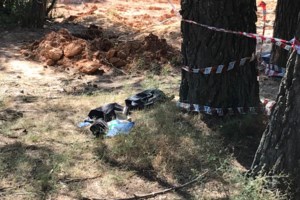 Κυνηγοί θησαυρών: Με πανάκριβους χάρτες και ανιχνευτές ψάχνουν τα θρυλικά κιούπια με λίρες στην Ελλάδα