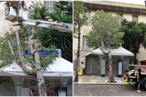 Βεντέτα στην Κρήτη: Έστησε καρτέρι με καδρόνι σε 19χρoνο - Οδηγούσε το ΙΧ μέσα στο οποίο σκοτώθηκε πέρσι ο γιος του