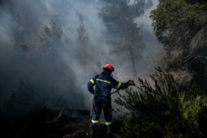 Υπό μερικό έλεγχο η μεγάλη φωτιά στην Κερατέα - Εκκενώθηκε οικισμός