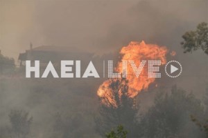 Τρεις συλλήψεις για την φωτιά στην Πάρο - Έκαιγαν ξερά κλαδιά με ανέμους 8 μποφόρ