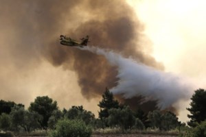 Το πακέτο στήριξης στους πυρόπληκτους σε Σχίνο, Μέγαρα, Αλεποχώρι - Εφάπαξ ενίσχυση και επιδότηση ενοικίου - εικόνα 3