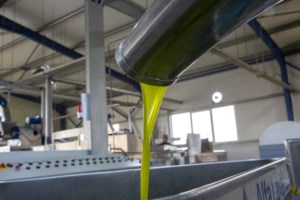 Καρουζέλ: Η αλυσιδωτή απάτη με αχυρανθρώπους και εταιρείες σφραγίδες που έπαιρναν... επιστροφή ΦΠΑ από το κράτος - εικόνα 2