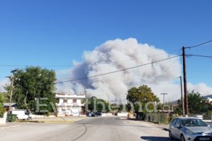 Φωτιές Αττική: Σε ύφεση τα μέτωπα σε Βαρυμπόμπη, Θρακομακεδόνες, Άγιο Στέφανο-Συγκλονίζουν οι εικόνες καταστροφής - εικόνα 2