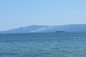 Πυροσβεστική: 40 δασικές πυρκαγιές στη χώρα το τελευταίο 24ωρο