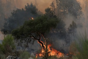 Πάρνηθα: Βίντεο ντοκουμέντο - Εκρήξεις σε κολόνα, πώς μπορεί να προκληθεί μια φωτιά