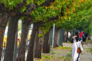 Καιρός: Εξπρές επιδείνωση με βροχές και καταιγίδες - Αύριο θα "χτυπήσουν" την Αττική - Μεγάλη πτώση της θερμοκρασίας