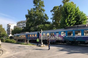 Θεσσαλονίκη: Γιατί έκαναν "σάλτο μορτάλε" οι σαρδέλες στην προκυμαία [εικόνες] - εικόνα 3