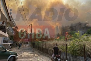 Φωτιά στην Κέρκυρα: Δύο μεγάλες αναζωπυρώσεις σε Άνω Περίθεια και Άγιο Γεώργιο Κασσιόπης - εικόνα 3