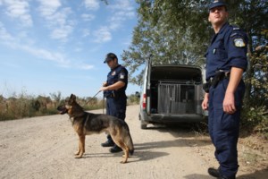 Λαύριο: Oι αγωνιώδεις προσπάθειες διάσωσης σπηλαιολόγου που έπεσε σε χαράδρα 55 μέτρων  - [Βίντεο - Εικονες] - εικόνα 4