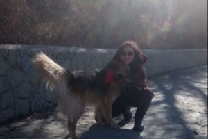 Κορονοϊός: Σχεδόν 100 θάνατοι σε μια μέρα -  694 διασωληνωμένοι και 6.201 νέα κρούσματα - εικόνα 3