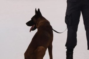 Μυστήριο με την εξαφάνιση 43χρονης στις Αχαρνές: Ο τσακωμός και ο σύντροφος...