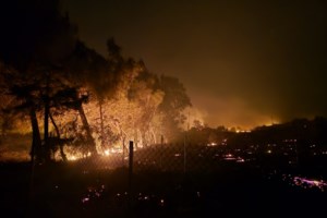 Καιρός: Επικίνδυνο κοκτέιλ ζέστης και μελτεμιών σήμερα – Πολύ υψηλός ο κίνδυνος πυρκαγιάς στην Αττική