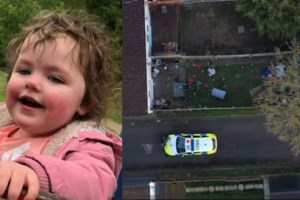 Στιγμές πανικού στο μετρό του ανατολικού Λονδίνου: Δύο αμερικανικά μπούλι ξεφεύγουν από την ιδιοκτήτριά τους [Βίντεο] - εικόνα 2