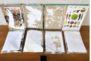 Νέο Ικόνιο: Επτά συλλήψεις υπαλλήλων από τη Δίωξη Ναρκωτικών - Επεισοδιακή καταδίωξη με πυροβολισμούς - εικόνα 6