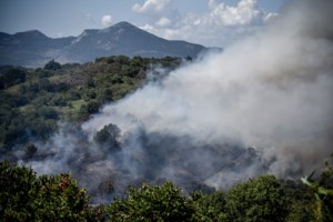 Ορεστιάδα: Φωτιά στην περιοχή Αμμόβουνο - Σηκώθηκαν πέντε εναέρια μέσα