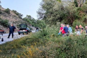 Κτηνωδία στη Φλώρινα: Πυροβόλησαν και σκότωσαν τρεις αρκούδες μέσα σε ένα μήνα - Η μία θήλαζε τα μικρά της