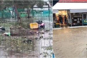 Κακοκαιρία: Δραματικές στιγμές στη Σταμάτα - Βούλιαξαν αυτοκίνητα, απεγκλωβίστηκαν οδηγοί [Εικόνες-Βίντεο] - εικόνα 9