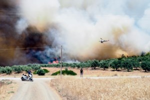 Ενώθηκαν οι δύο φωτιές στην Βοιωτία: Πάνω από 10χλμ το ενιαίο πύρινο μέτωπο - Ανησυχία για οικισμούς και σπάνιο δάσος - εικόνα 6