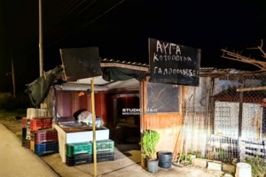 Ναύπλιο: Ελεύθερη η 72χρονη που σκότωσε τον ληστή της- Τον κάρφωσε στην καρδιά με το μαχαίρι που καθάριζε τα πορτοκάλια - εικόνα 5