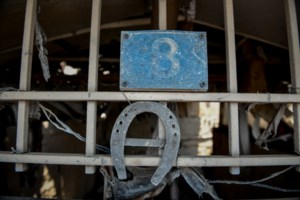 Χαρδαλιάς: Δίνουμε τη μεγάλη μάχη σε Εύβοια, Ηλεία και άλλες περιοχές - Θα συνεχιστεί όλη νύχτα - εικόνα 2