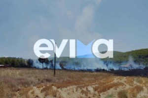 Φωτιά στα Φάρσαλα: Καίει δασική έκταση στο Τσικράκι - Επιτόπου επίγειες και εναέριες δυνάμεις