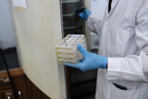 Κορονοϊός: "Θερίζει" ο κορονο-γάμος στην Αλεξανδρούπολη - Ακόμα εννέα θετικά κρούσματα - εικόνα 2