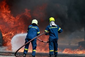 Αλεξανδρούπολη: Ανοίγουν αύριο οι αιτήσεις για οικονομική ενίσχυση των πυρόπληκτων