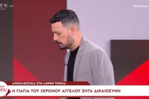 Ηράκλειο: Σοκάρει η ιατροδικαστική έκθεση για τον 3χρονο Άγγελο - Ταρακουνήθηκε μέχρι θανάτου ο εγκέφαλος από άμεσο χτύπημα - εικόνα 2
