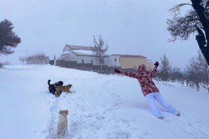 "Βουτιά" του υδράργυρου, βροχές και χιόνια στο μεγαλύτερο μέρος της χώρας - Σκεπάστηκε από χιόνι η Φλώρινα [εικόνες] - εικόνα 2