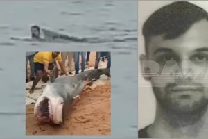 Ανατριχιαστικά εύρηματα στο στομάχι του θηλυκού καρχαρία που κατασπάραξε 23χρονο: Βρήκαν κεφάλι, στέρνο και χέρια - εικόνα 5