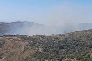 Φωτιά στην Κοζάνη: Πυρκαγιά στη ΖΕΠ, ήχησε το 112 - Εκκενώθηκε το Πανεπιστήμιο Δυτ. Μακεδονίας [βίντεο - εικόνες] - εικόνα 4