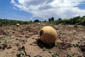 Φθιώτιδα: 76χρονος έδειρε τη σύζυγό του και έβαλε φωτιά στο σπίτι τους - Τον βρήκαν κρυμμένο σε αποθήκη